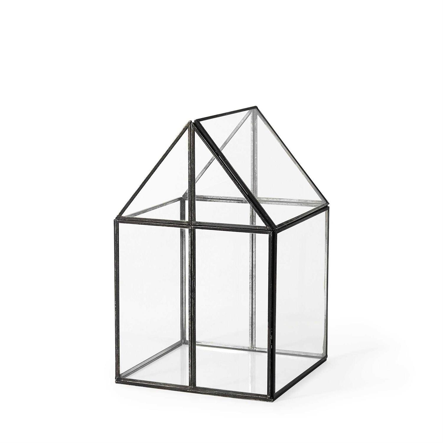 Mercana Sikes 6L x 6W x 10H Glass Terrarium