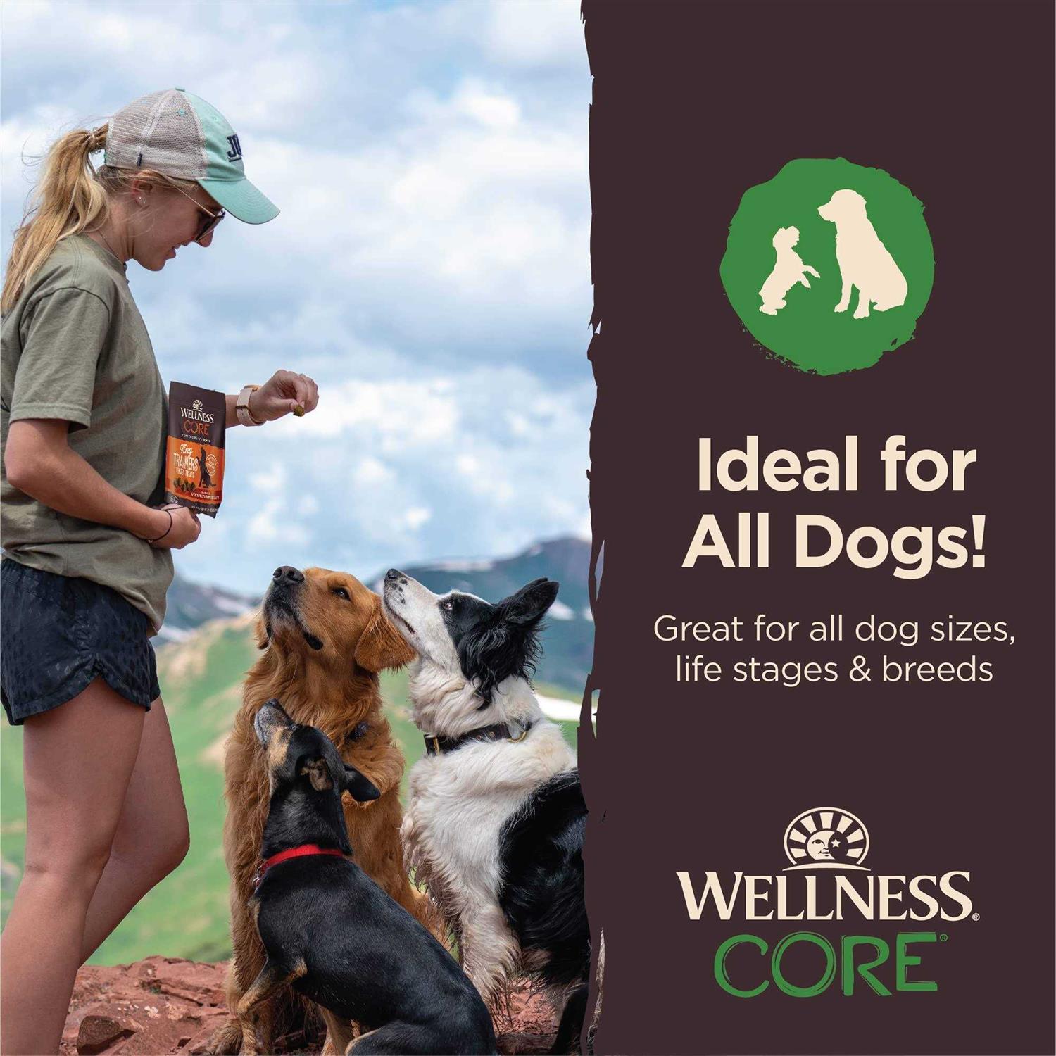 Wellness Core Tiny Trainers Tender Dog Treats