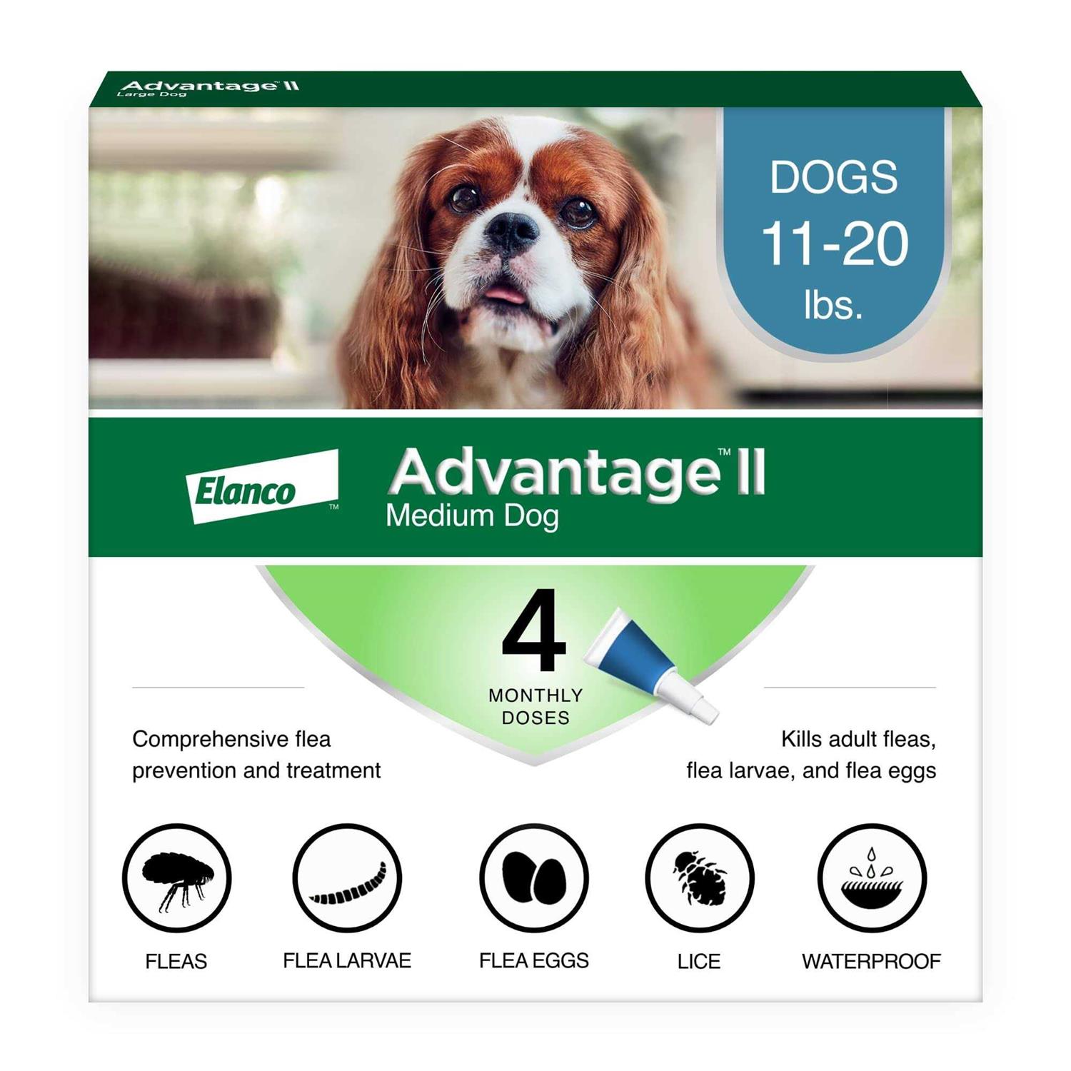 Advantage II Medium Dog