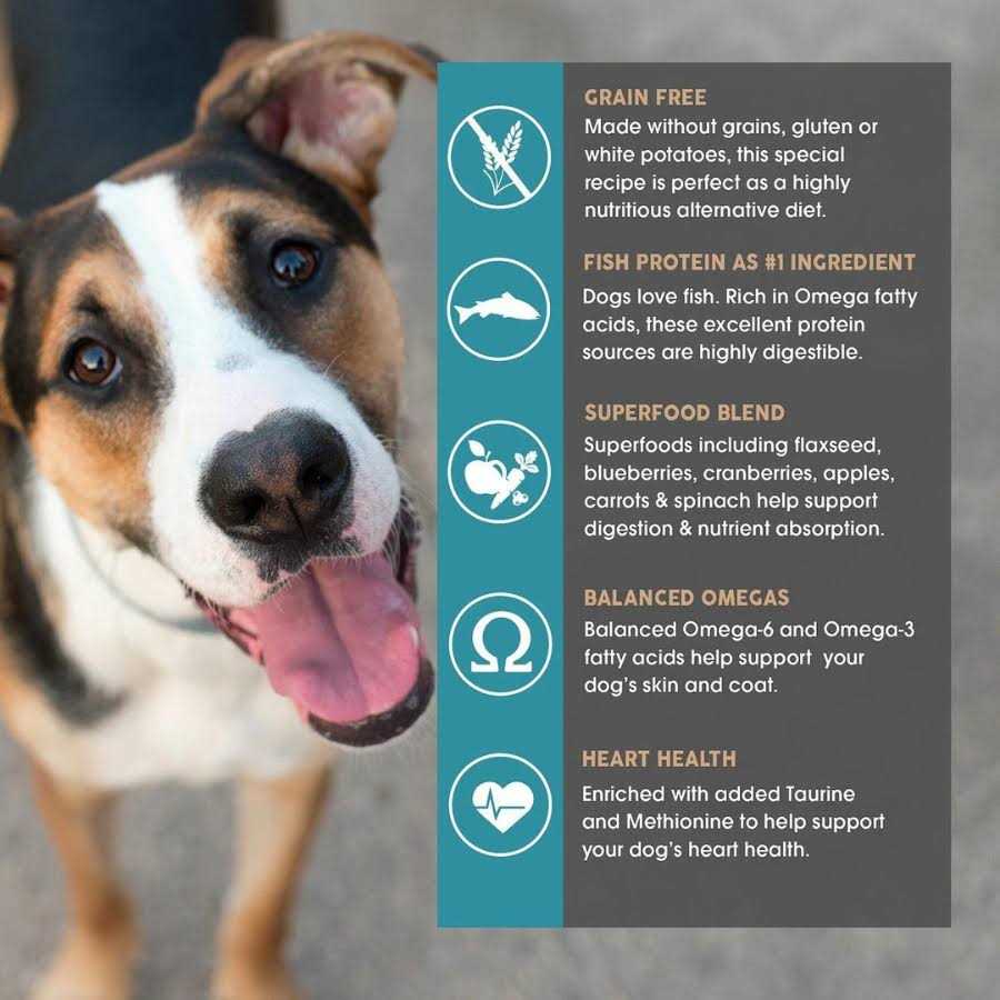 Earthborn Holistic Coastal Catch Grain Free Dog Food