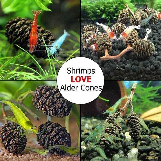 SunGrow Shrimp Breeding Aquarium Tank Water Conditioner & Food Alder Cones