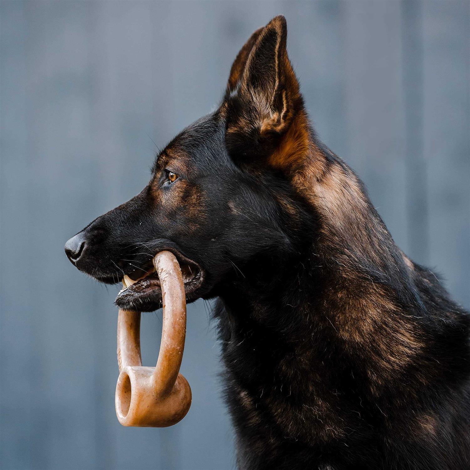 Lumabone Ring Stuffer Durable Chew Toy for Aggressive Chewers