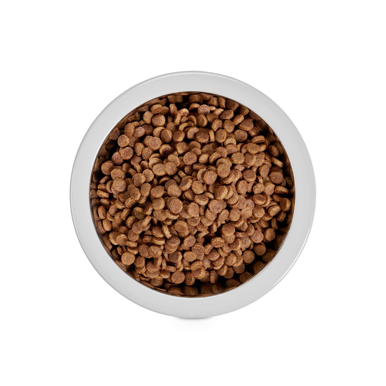 EveryYay Stainless-Steel Grey Dog Bowl