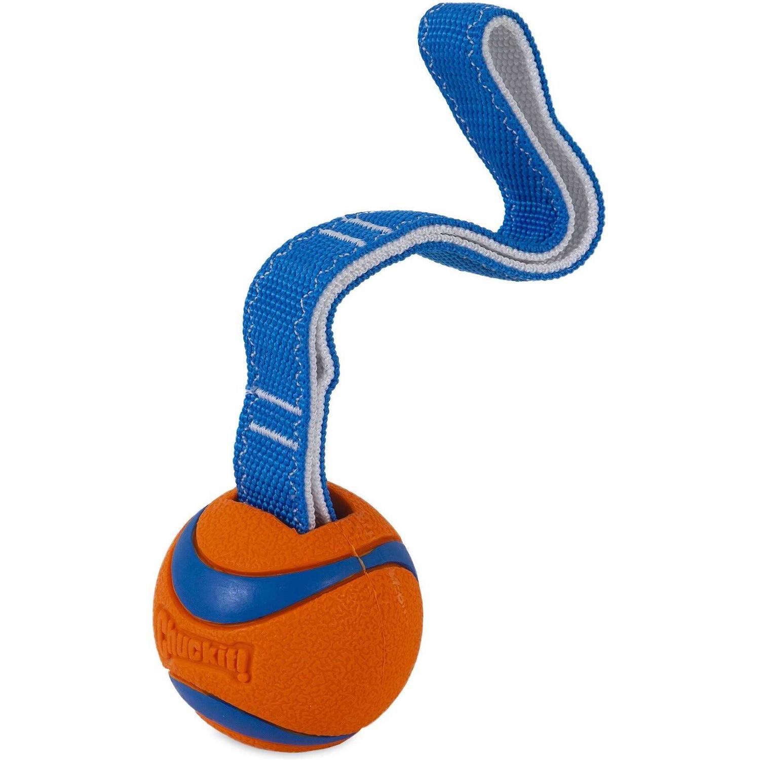 Chuckit! Ultra Duo Dog Tug Toy