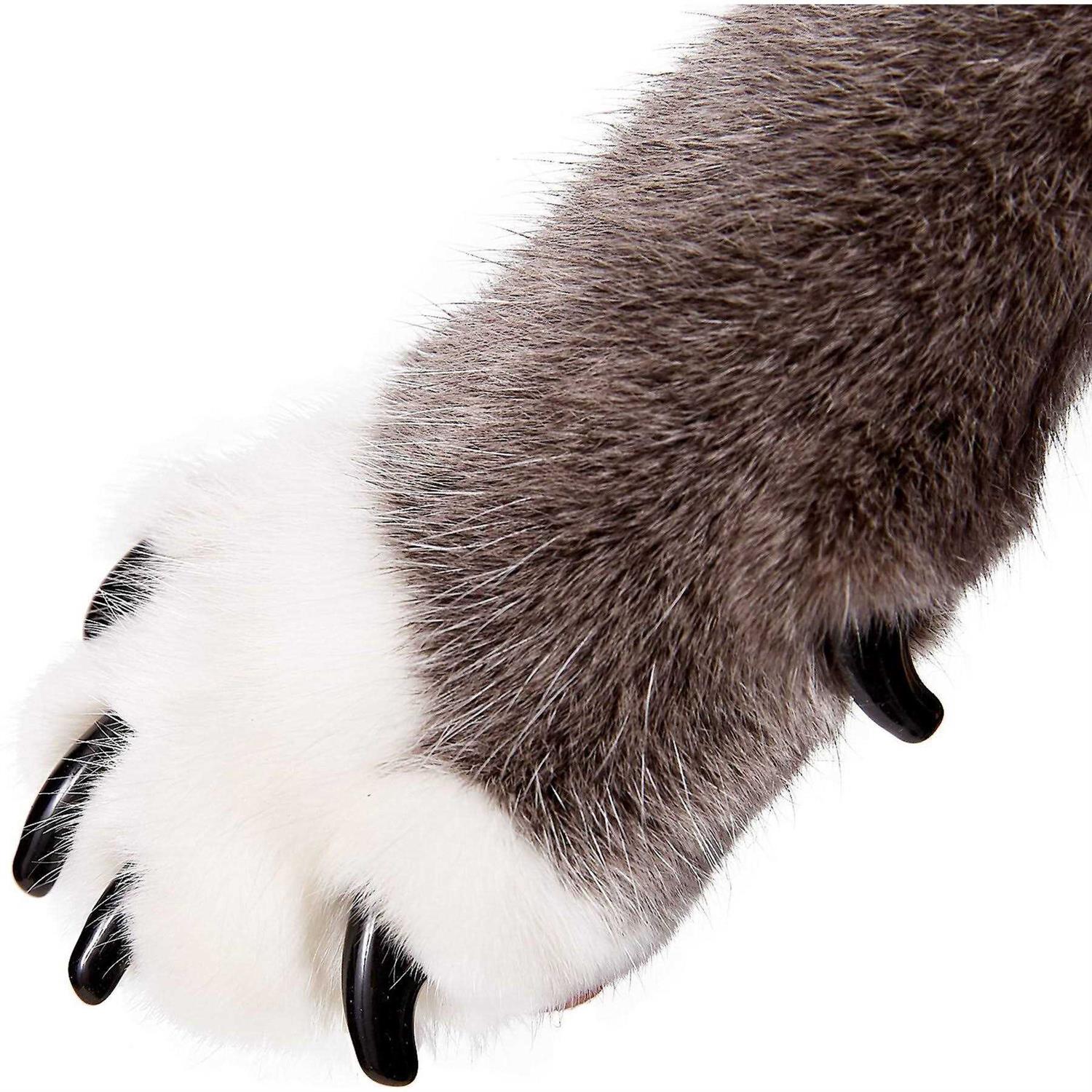 Purrdy Paws Soft Nail Caps for Cat Claws