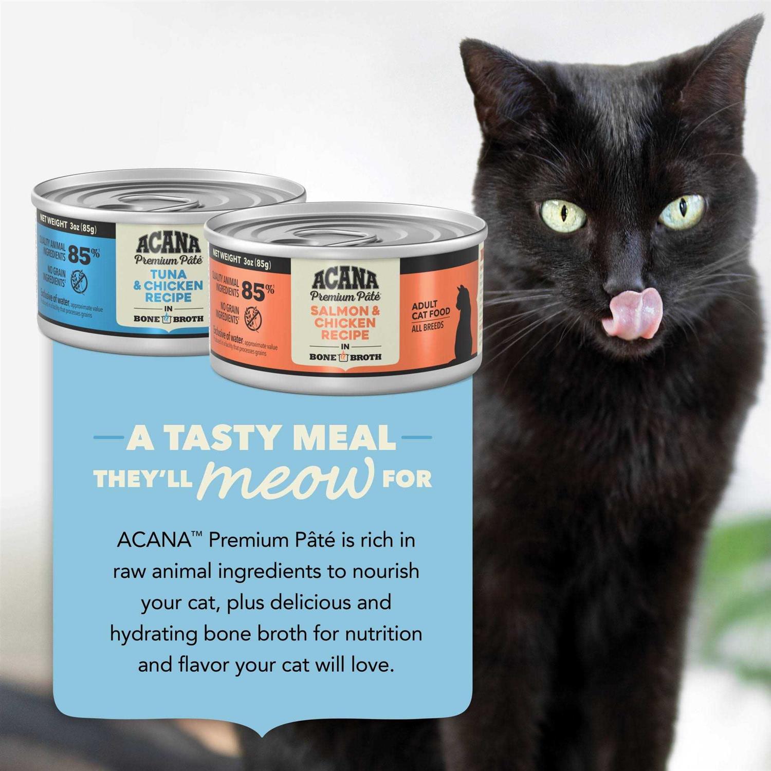 ACANA Premium Pate Variety Pack Wet Cat Food