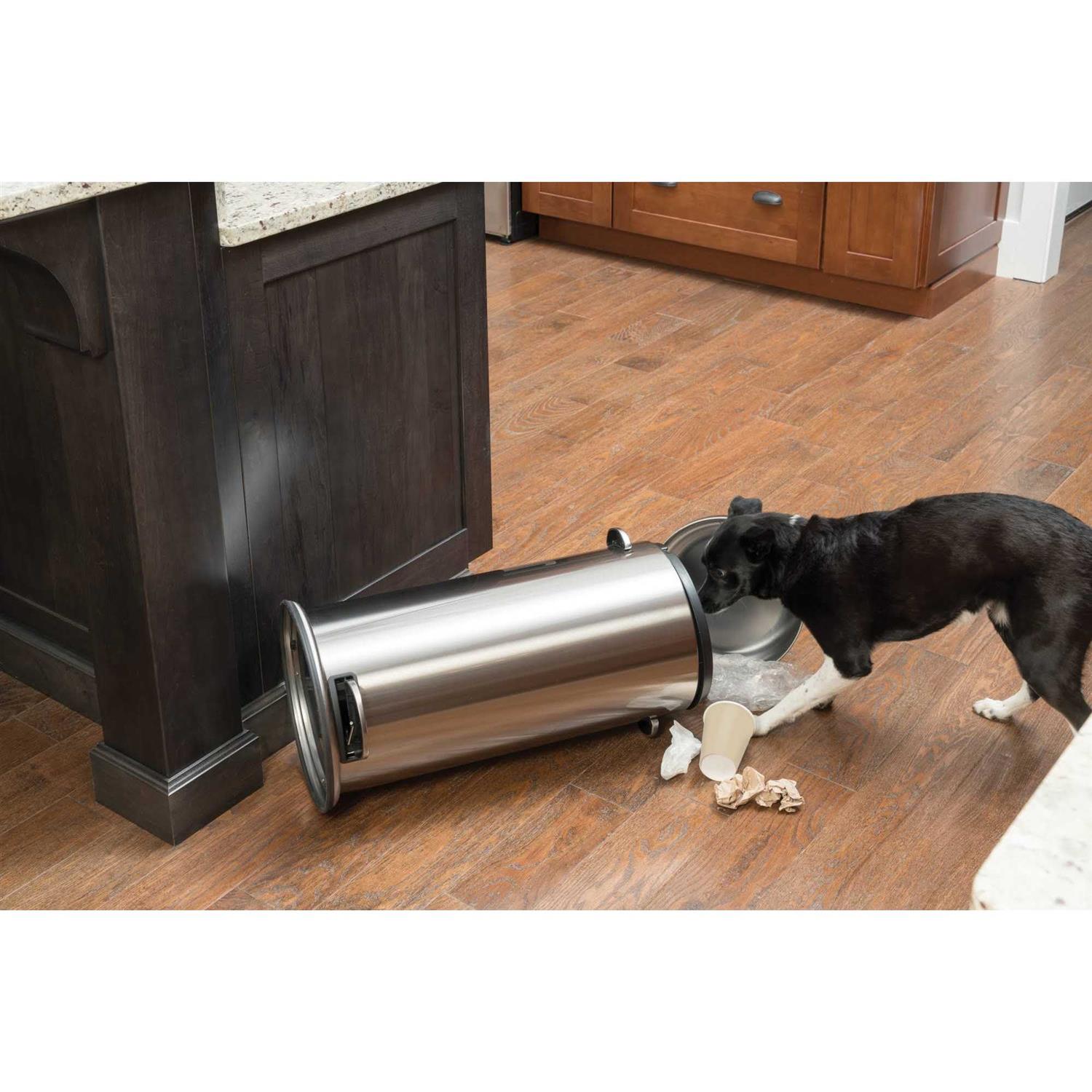 PetSafe Smart Dog Trainer