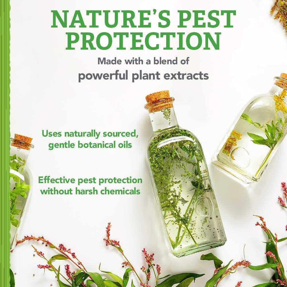 Natural Care Flea and Tick Carpet Powder Flea Treatment for Rugs, Carpet, or Pet Bedding