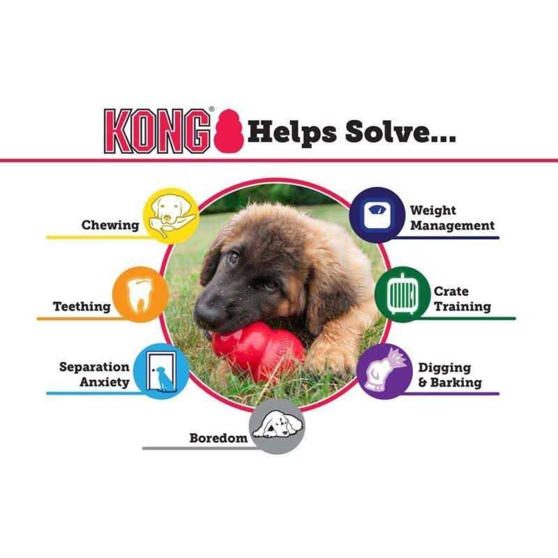 KONG Senior Dog Toy