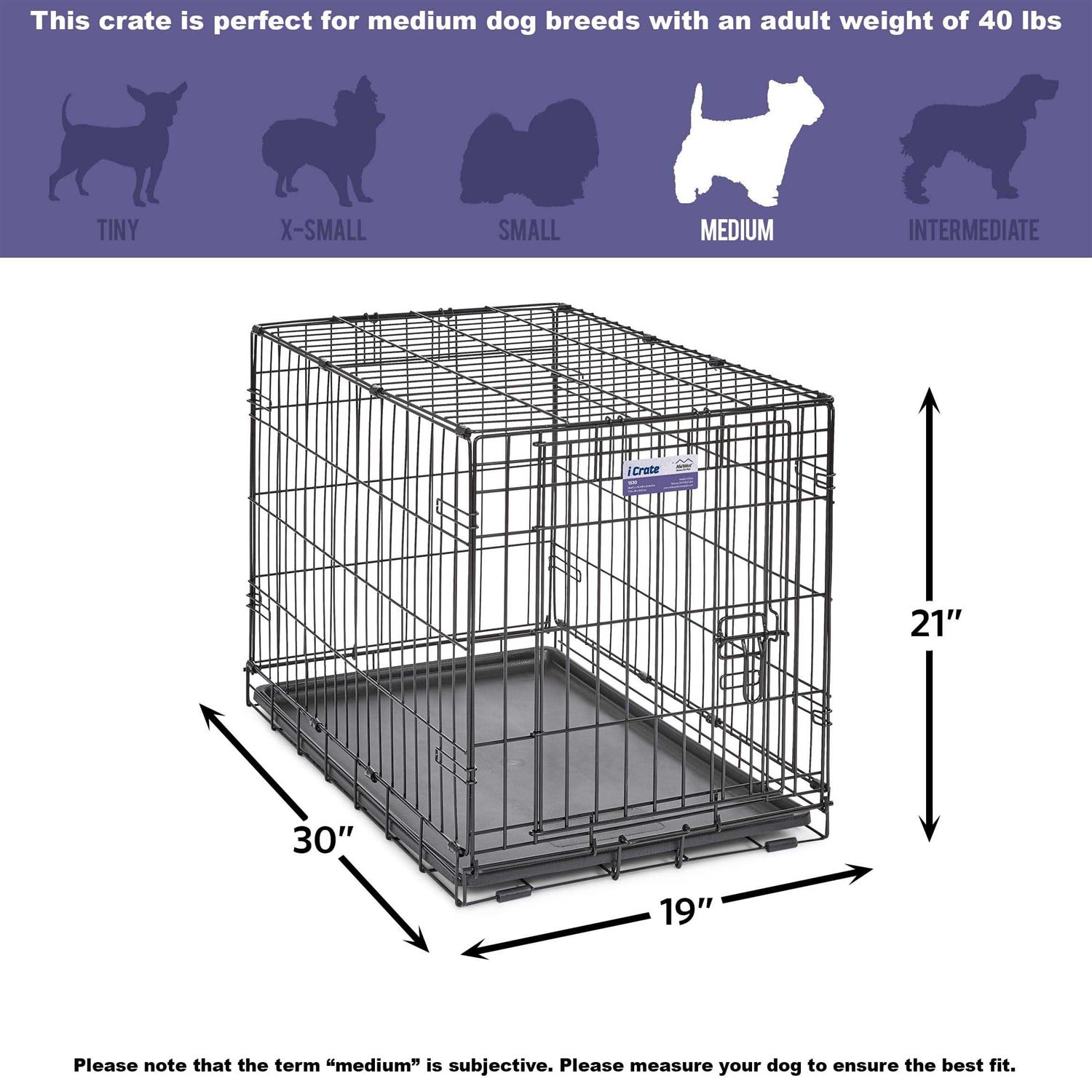 Midwest Single Door iCrate Dog Crate