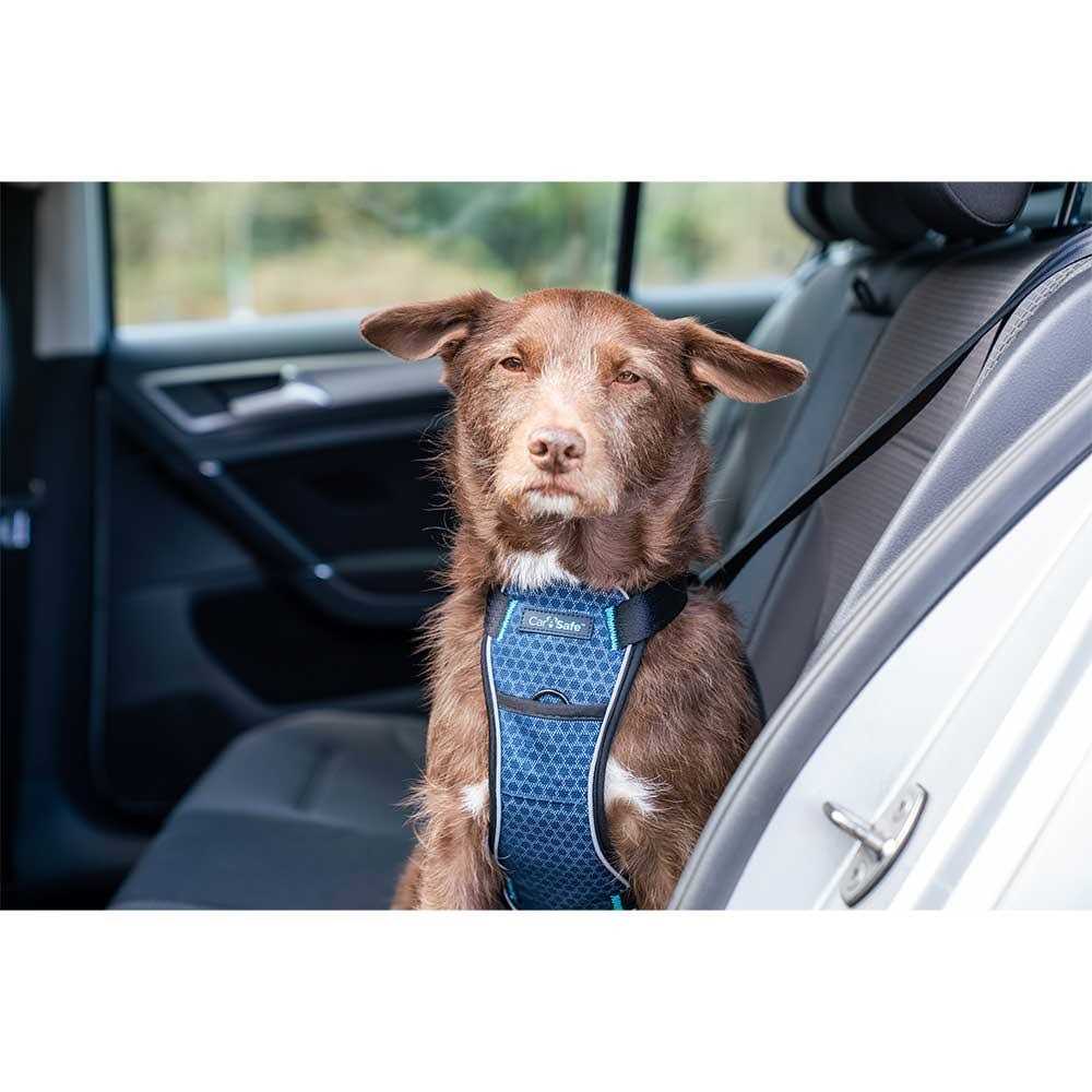 Carsafe Crash Tested Dog Harness