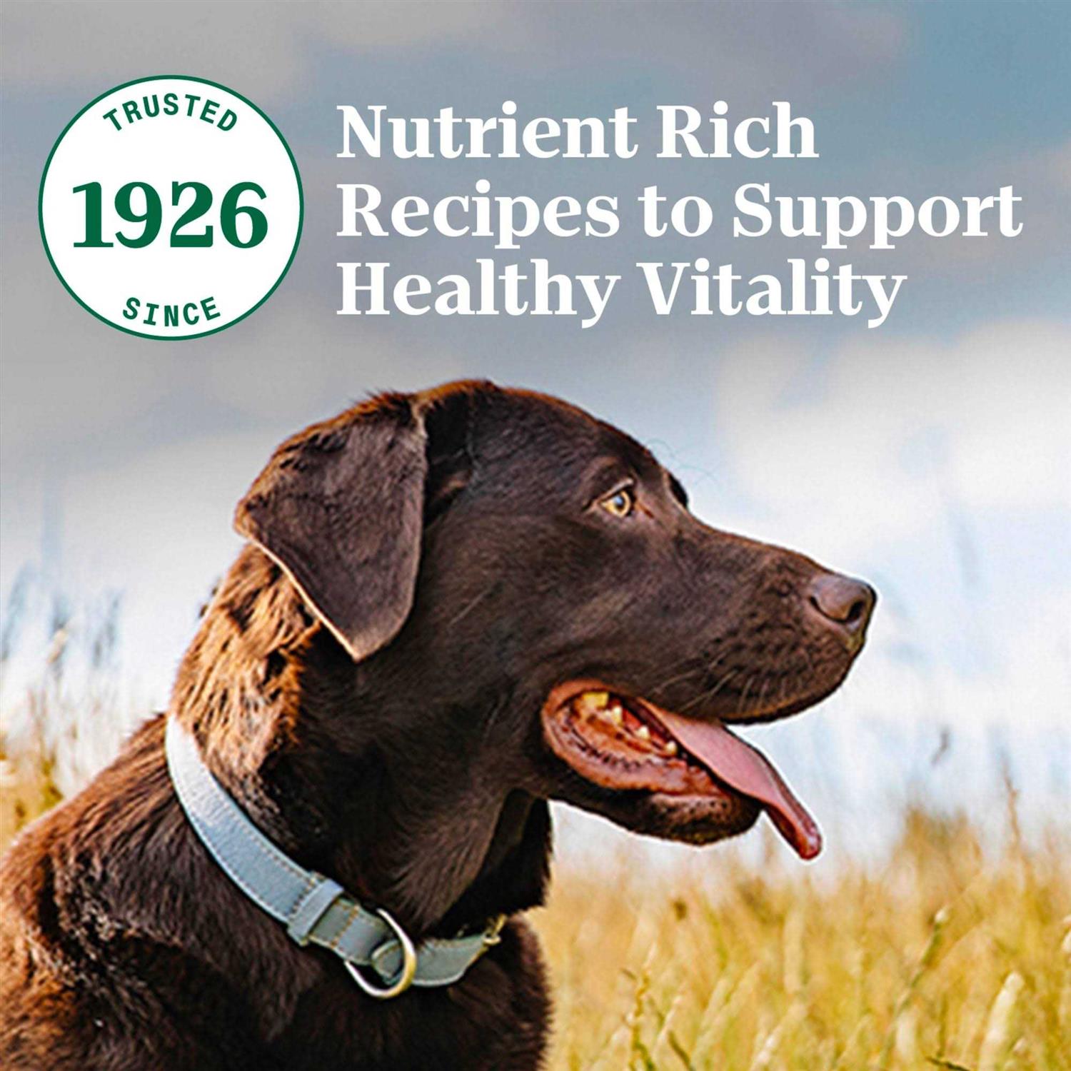 Nutro Natural Choice Adult Chicken & Brown Rice Dry Dog Food