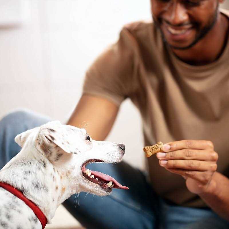 Milk-Bone Flavor Snacks Dog Treats Mini
