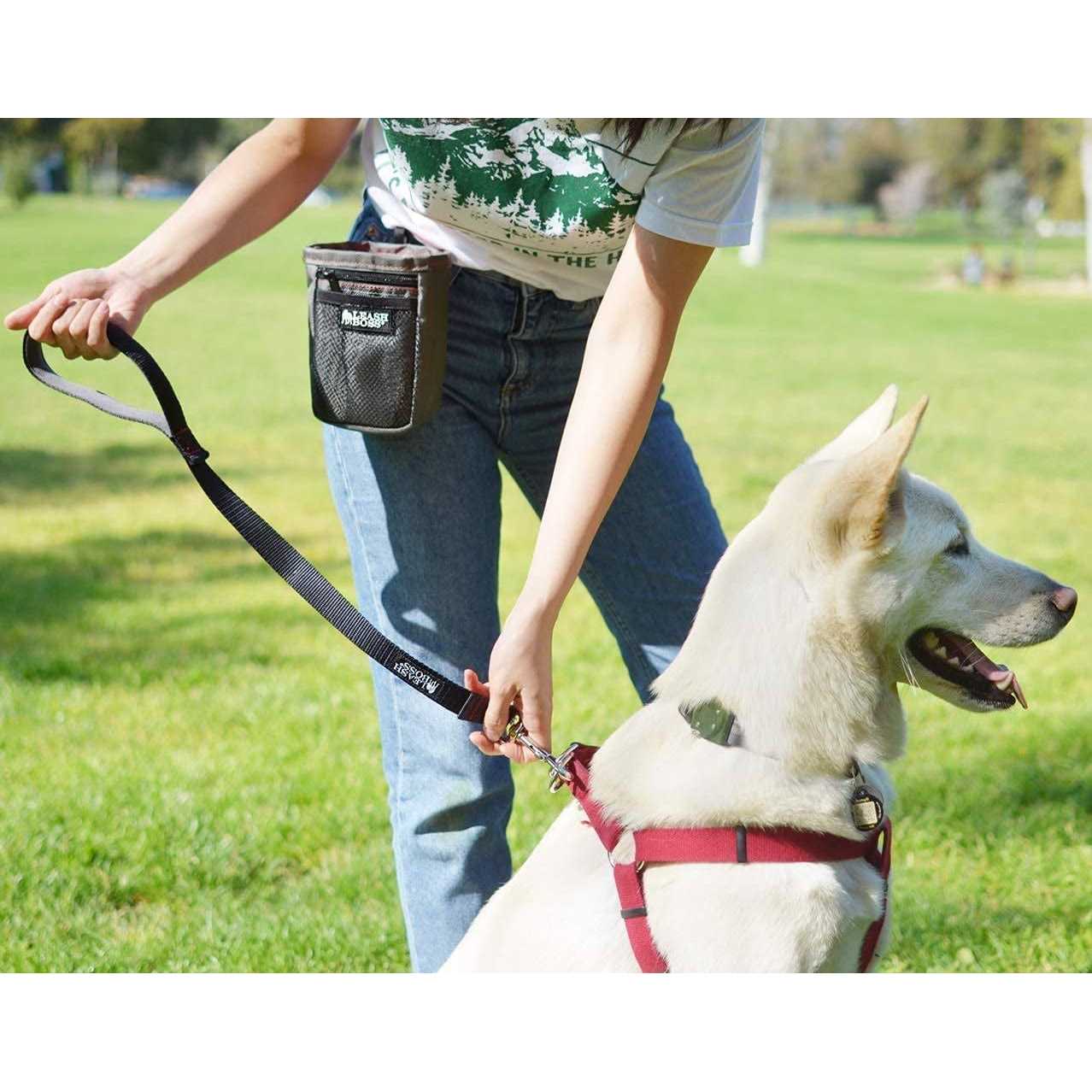 Leashboss Padded Handle Short Dog Leash