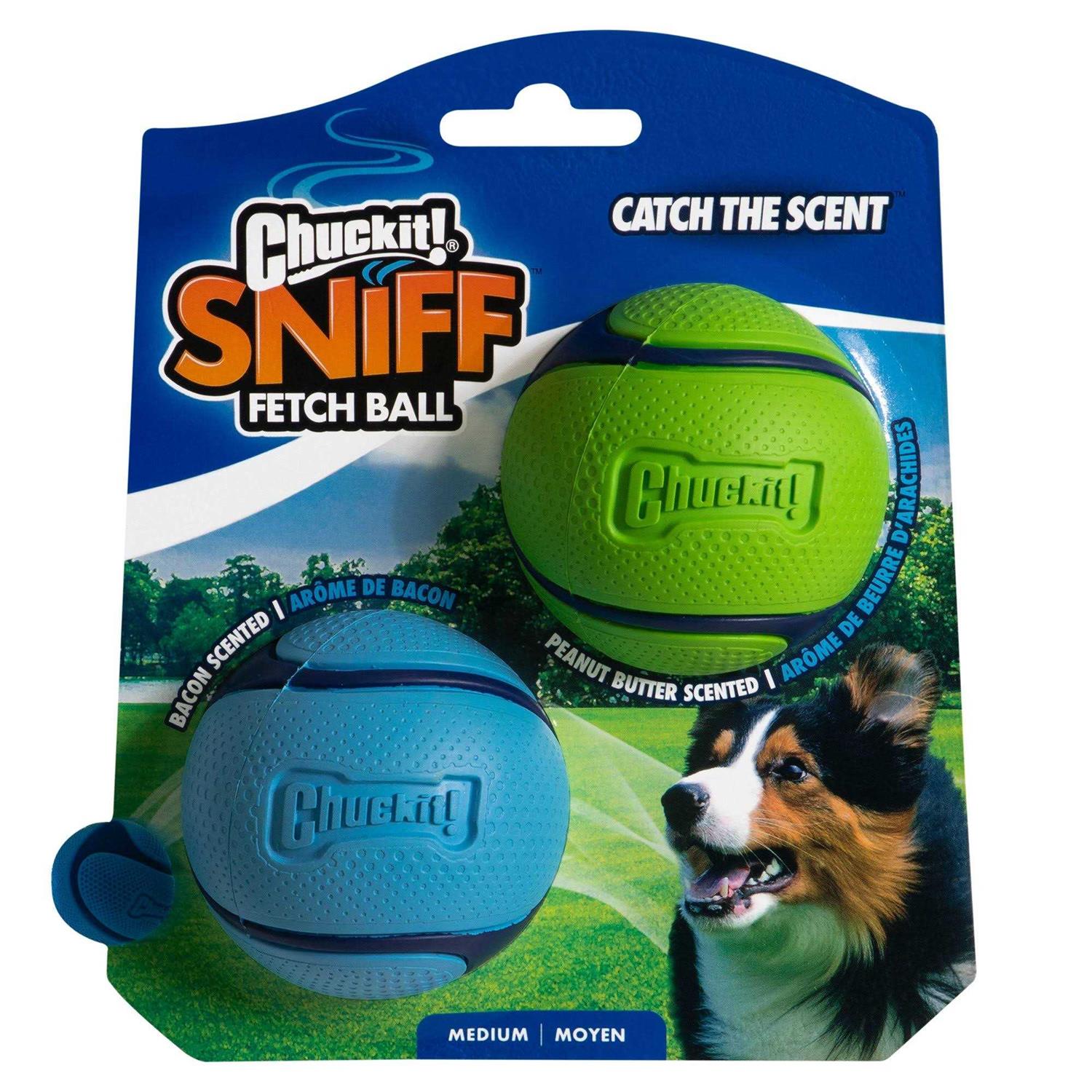 Chuckit! Sniff Fetch Ball Dog Toy