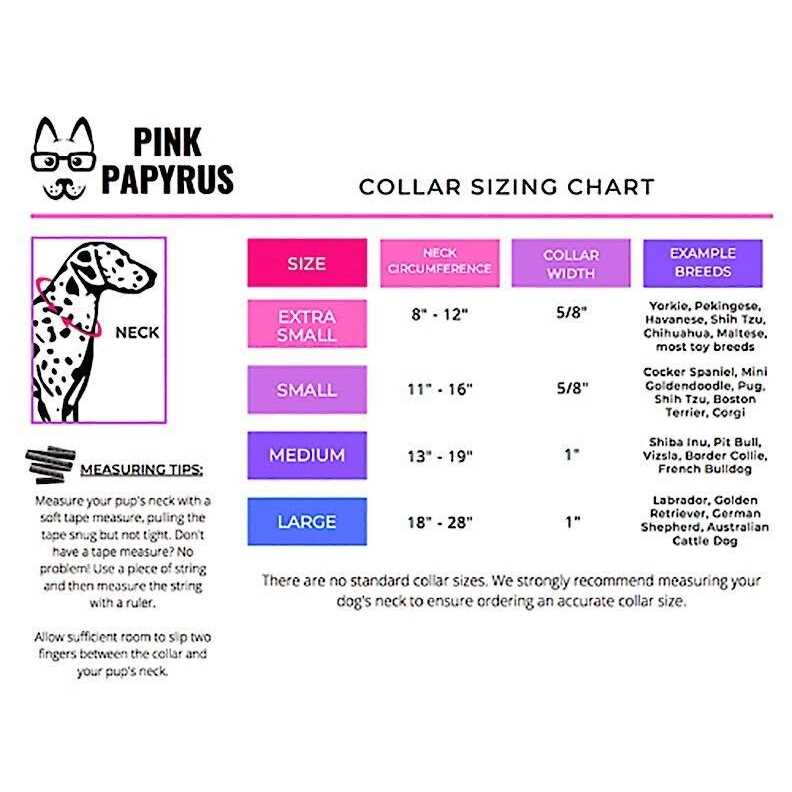 Pink Papyrus Isabella Collar