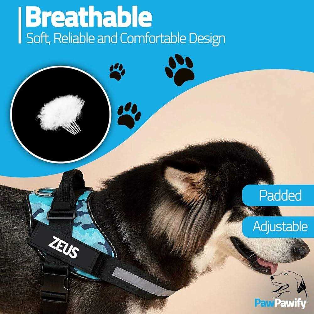 PawPawify Lifetime Warranty Personalized Easy-On No Pull Dog Harness