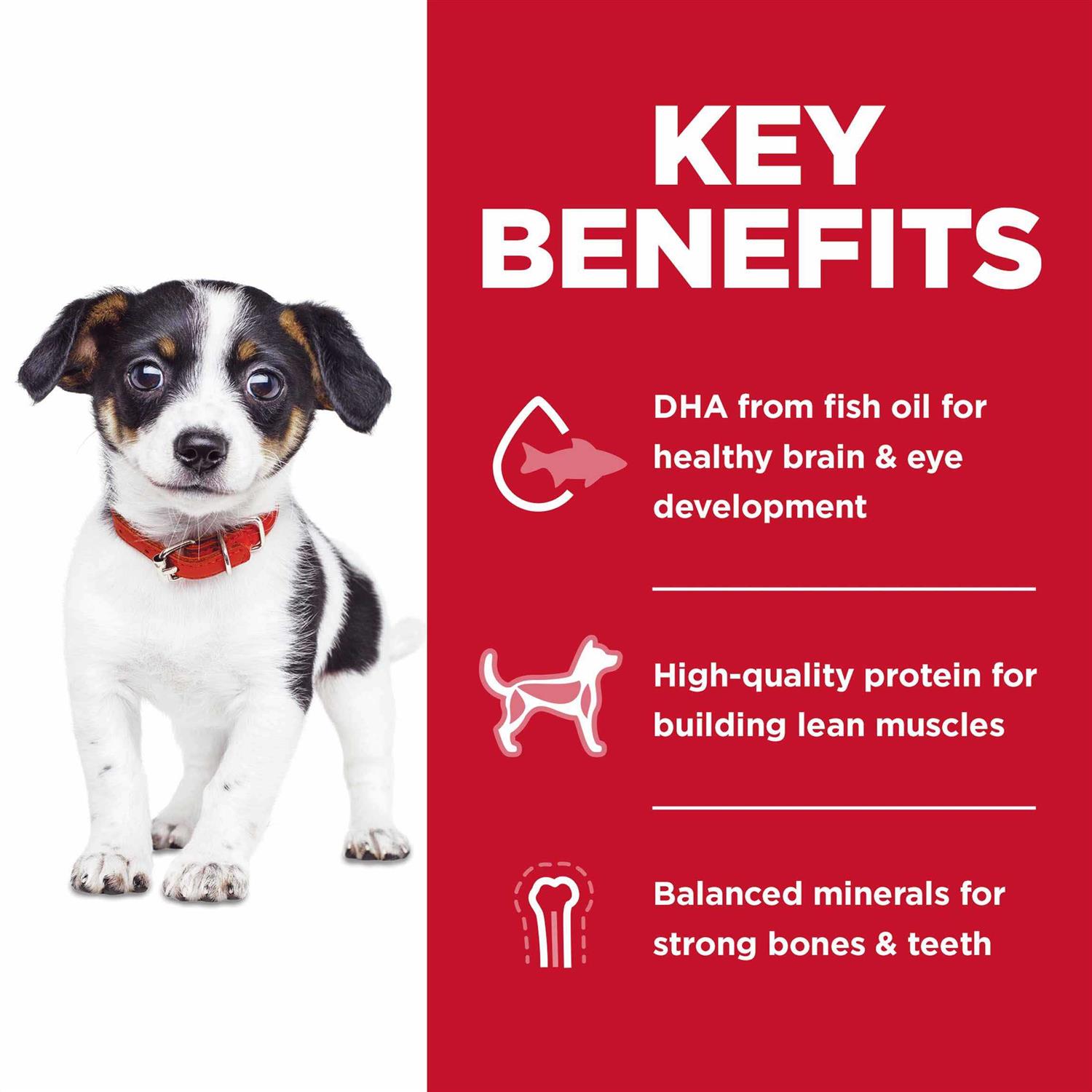 Hill’s Science Diet Puppy No Corn, Wheat or Soy Dry Dog Food