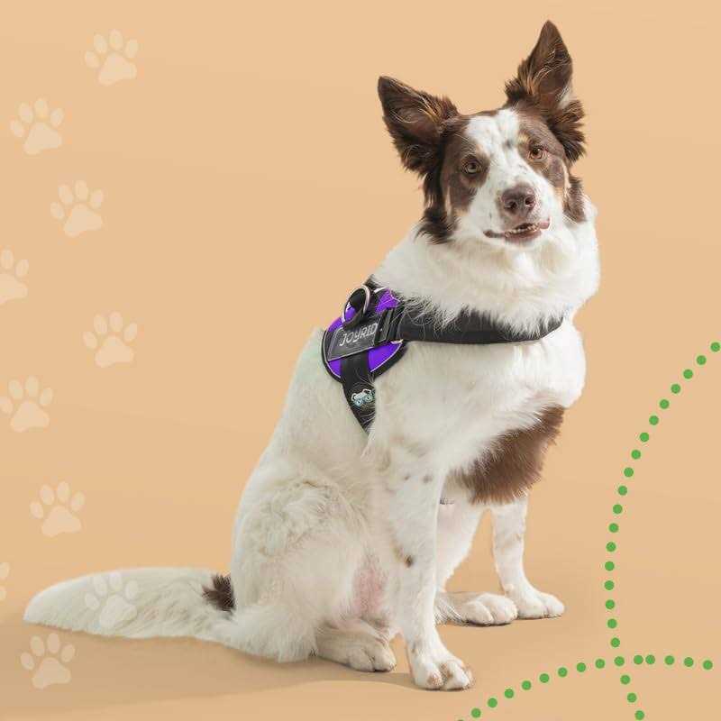 Joyride Harness No Pull Easy On-Off Dog Harness