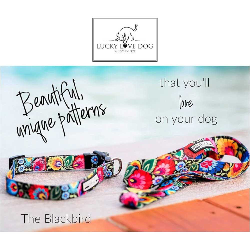 Lucky Love Dog Martingale Collar Premium No Slip Collar Great for Whippets, Greyhounds, and More