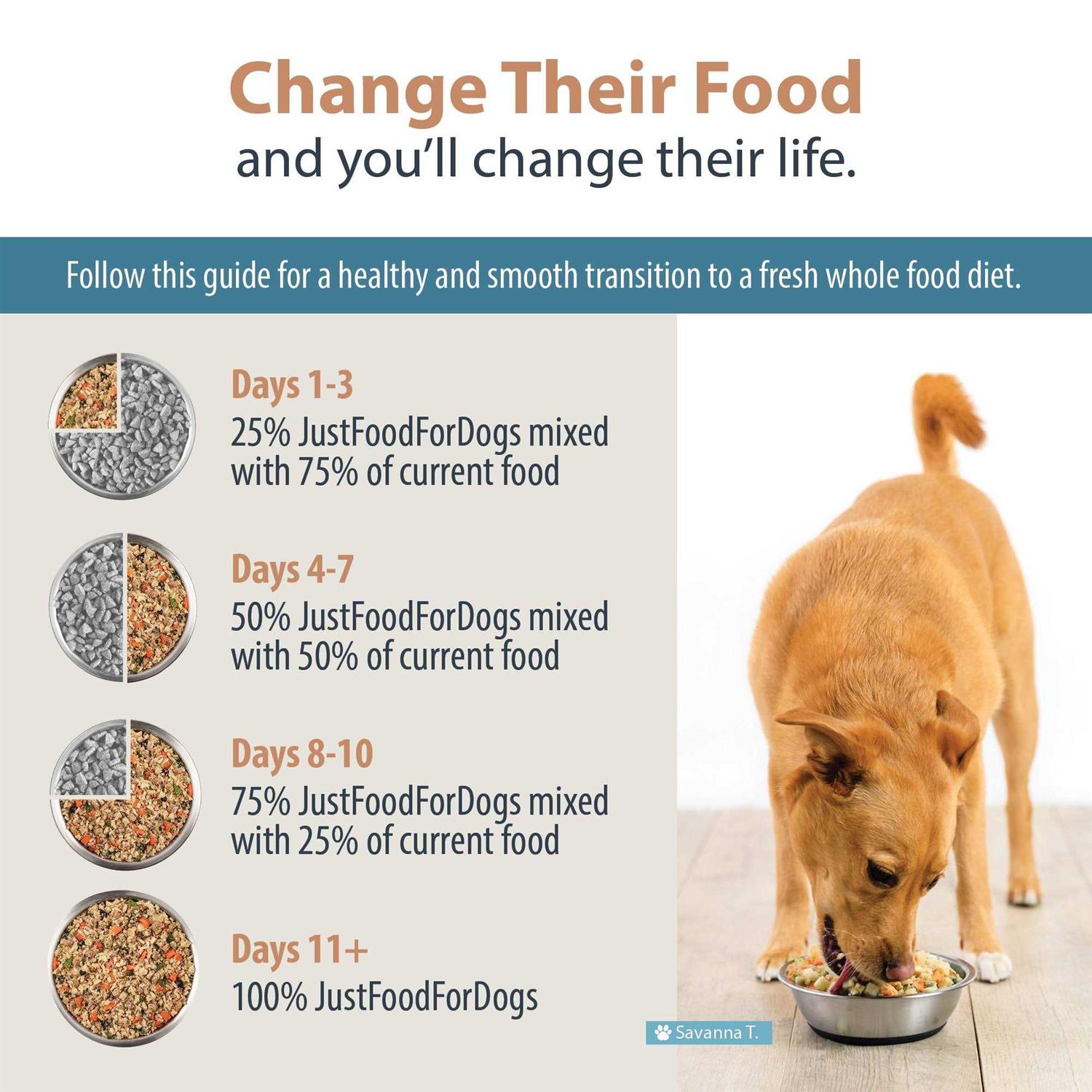 JustFoodForDogs Daily Diets Rice Frozen Dog Food