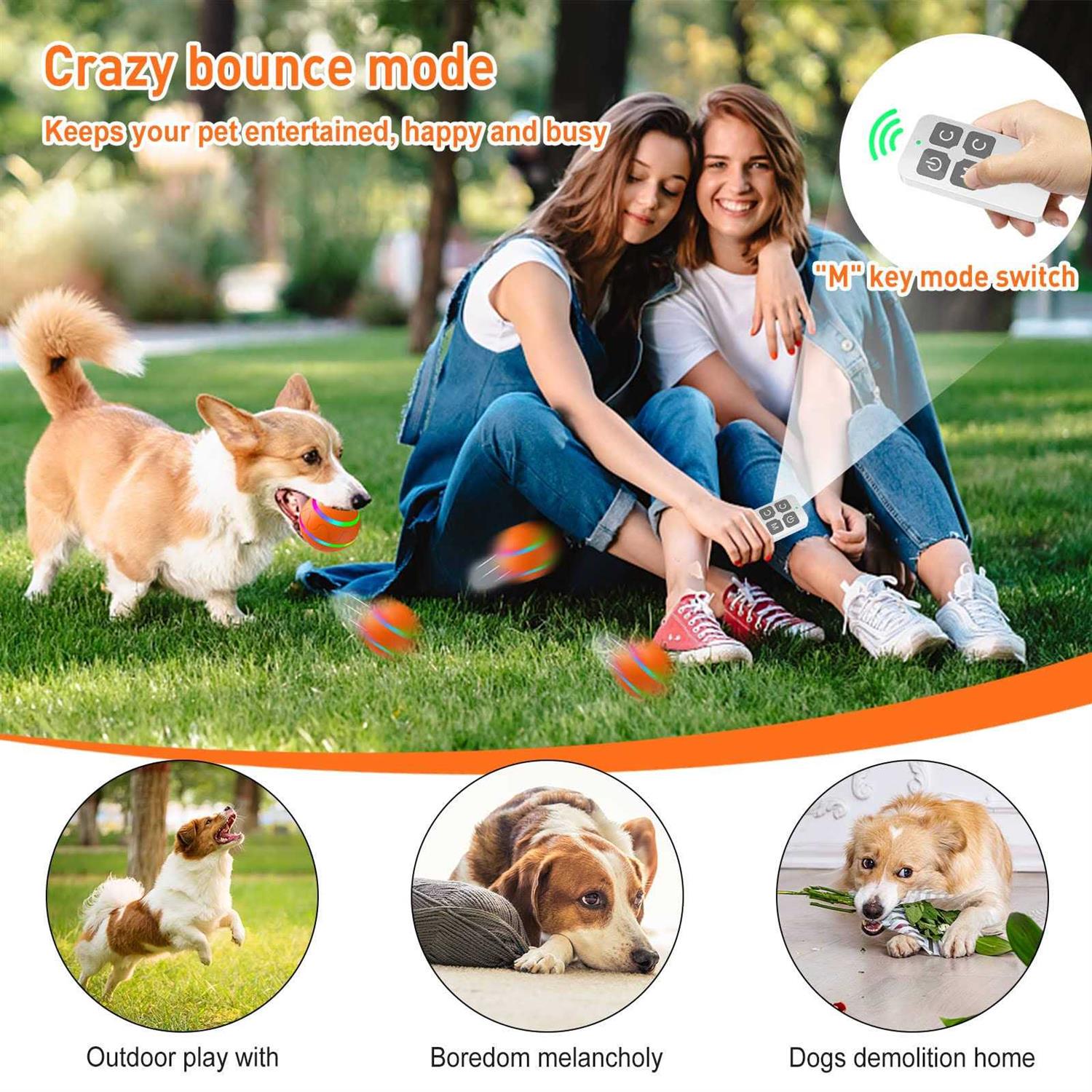 Interactive Dog Toys Peppy Pet Ball for Dogs