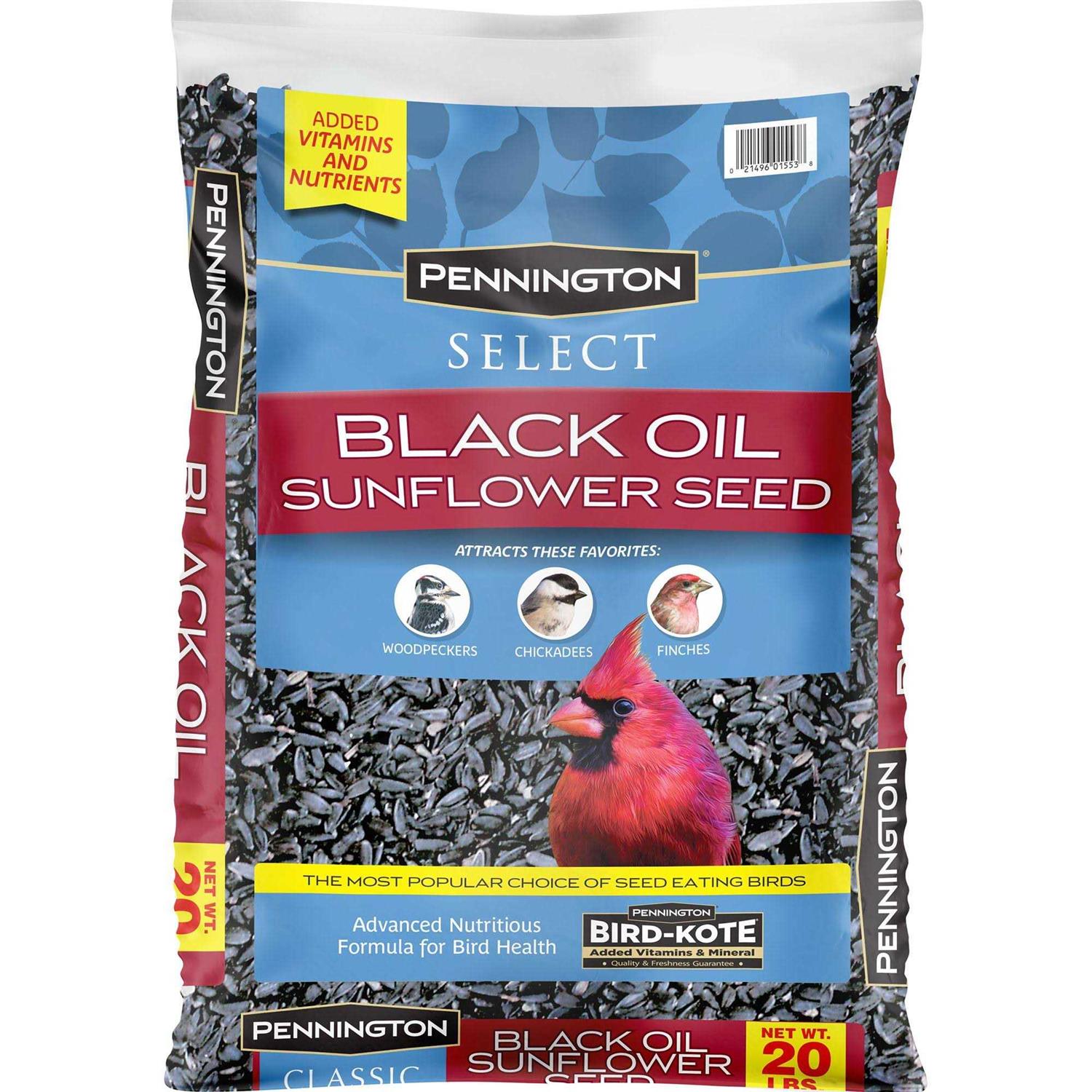 Pennington Select Black Oil Sunflower Seed Wild Bird Feed