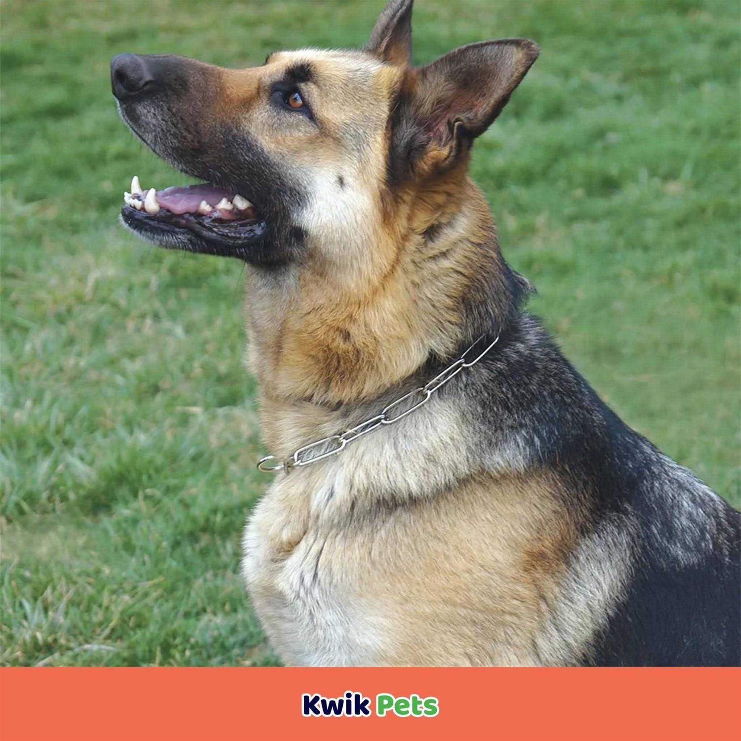 Herm Sprenger Fur Saver Link Chain Training Dog Collar