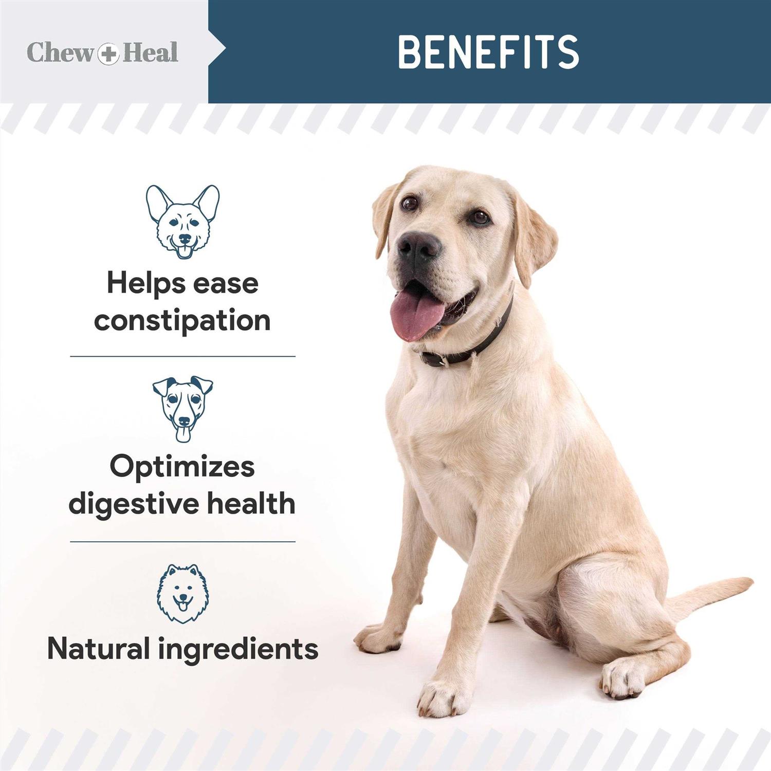 Chew + Heal Digestive Enzymes & Probiotics Supplement for Dogs