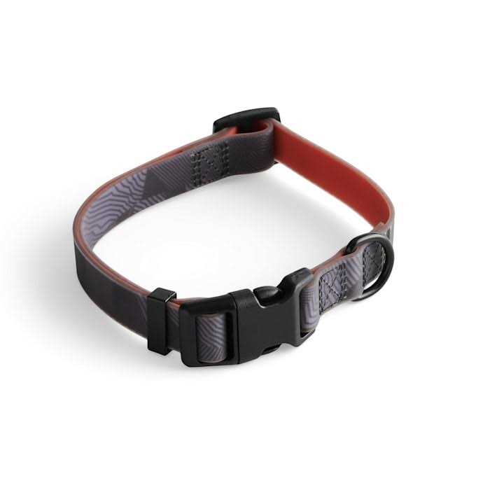 Backcountry x Petco The Dog Collar