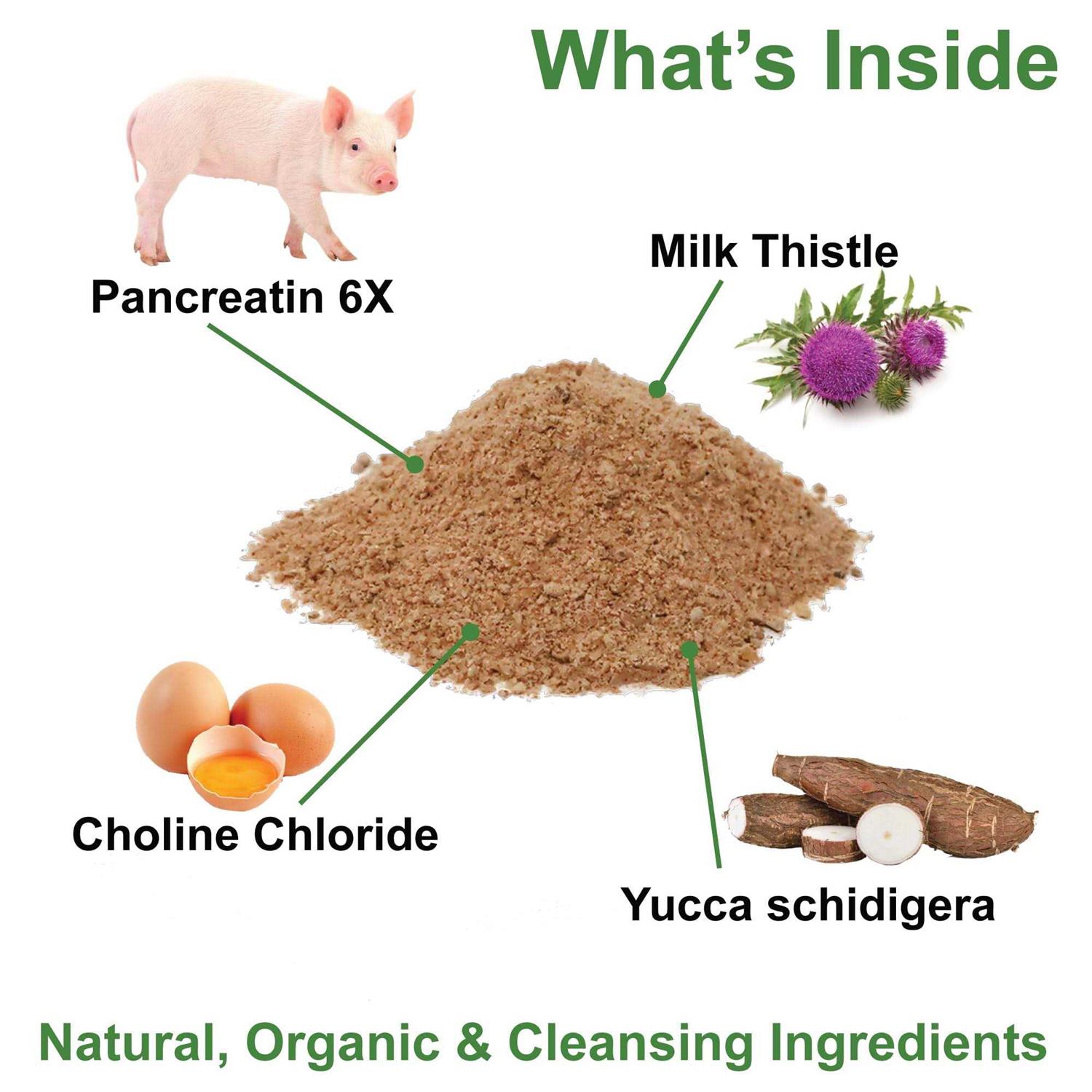 Dogzymes Pancreas Support