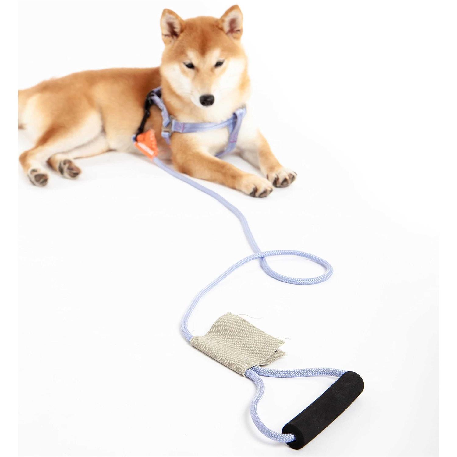 Touchdog Macaron 2-in-1 Durable Nylon Dog Harness and Leash