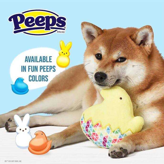 Peeps for Pets Chick 5 Inch Flattie Plush Dog Toy