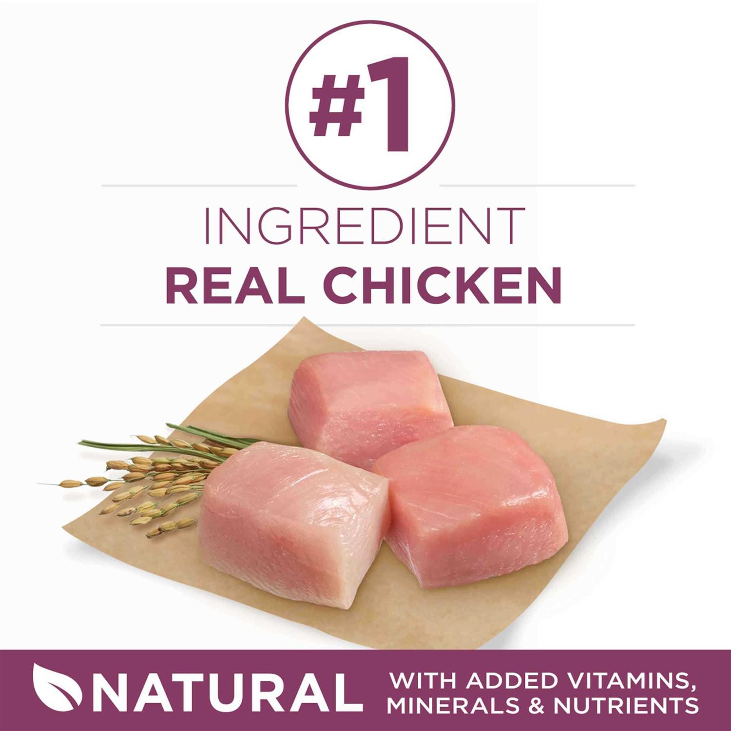 Purina ONE SmartBlend Healthy Puppy Formula Dry Dog Food