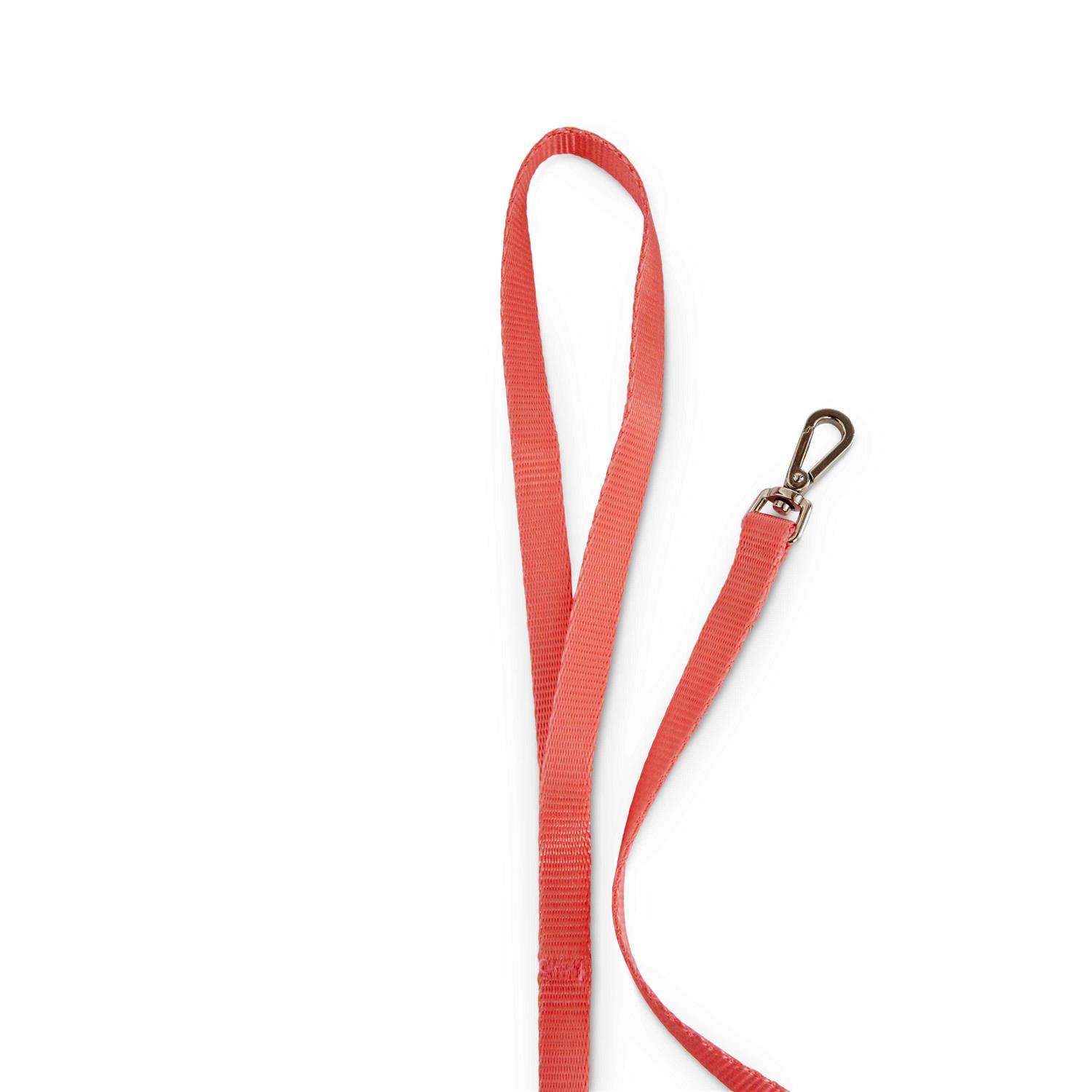 Youly Cat Harness Set