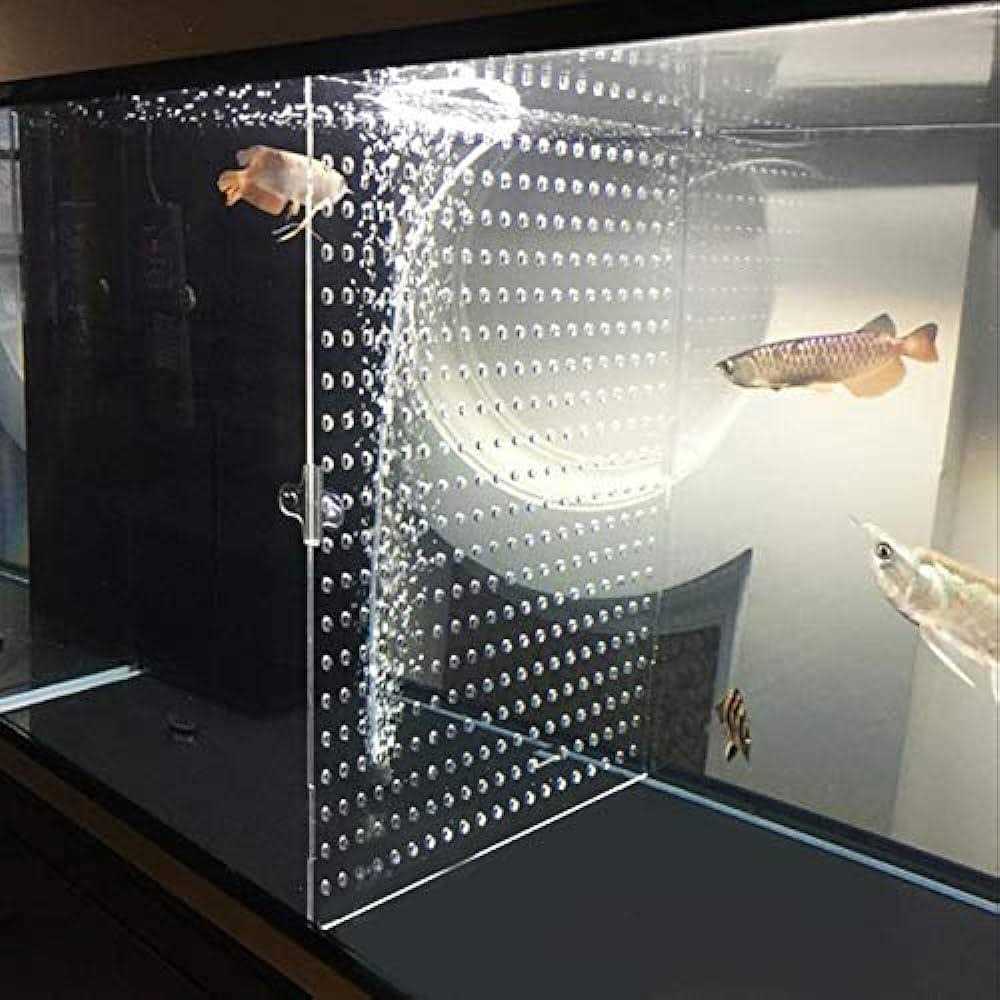 Tank Acrylic Divider Isolation Board with Suction Cups