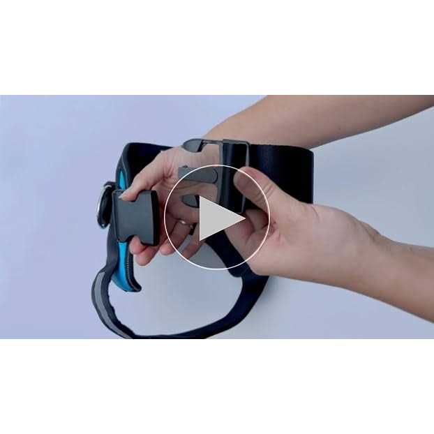 ShawnCo Essential Dog Harness, No-Pull Pet Vest with 3 Leash Clips, No Choke, Reflective, Adjustable and Padded, for Easy Walking and Training