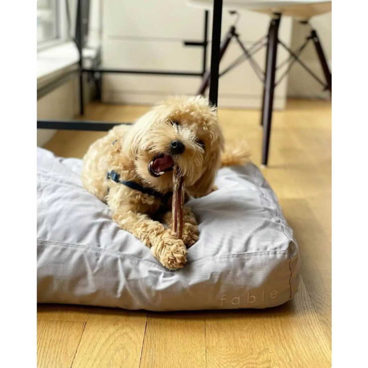 Fable Pets Signature Dog Bed