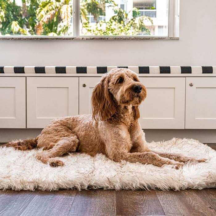 Paw PupRug Portable Orthopedic Dog Bed White