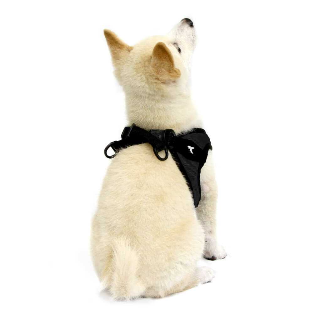 Gooby Escape Free Easy Fit Dog Harness