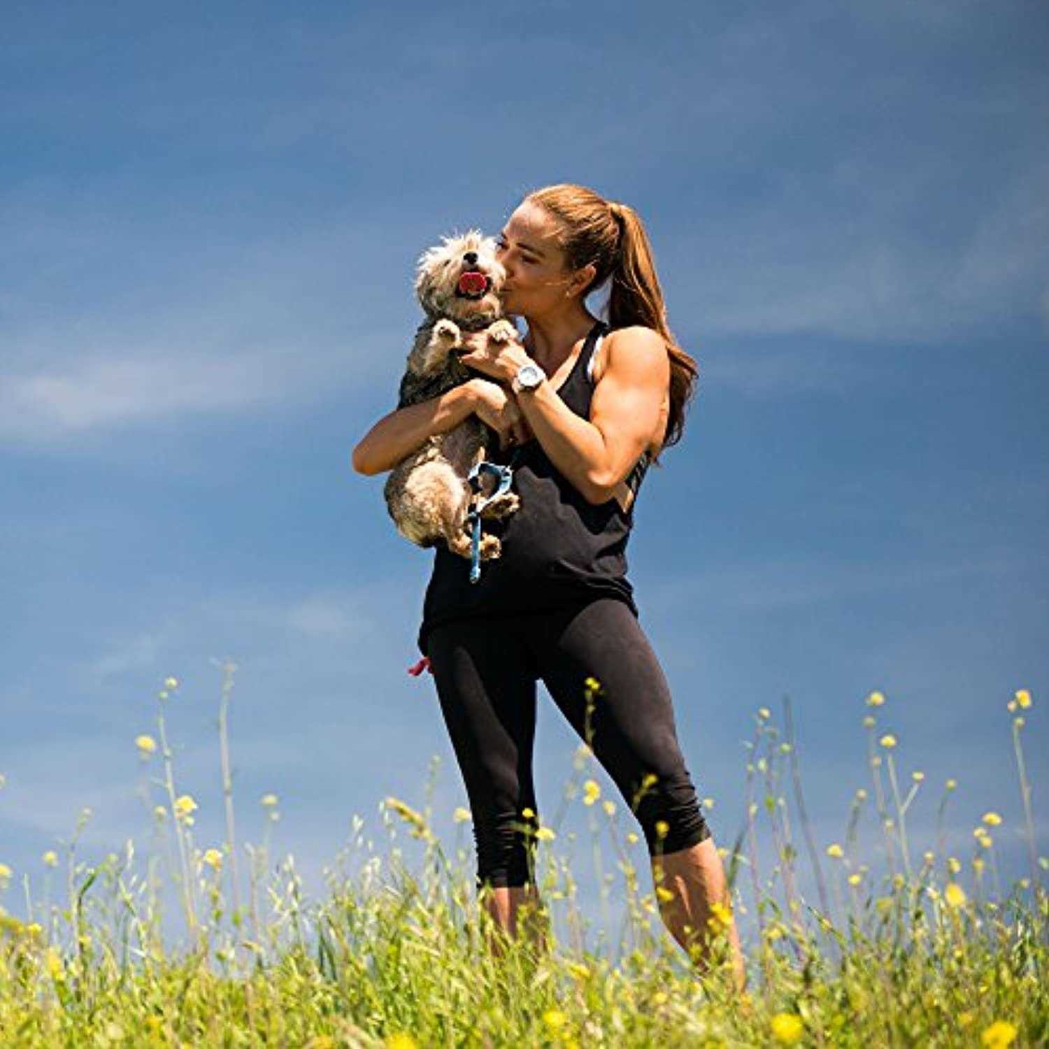 Nulo Freestyle Freeze-Dried Raw Beef with Apples Dog Food