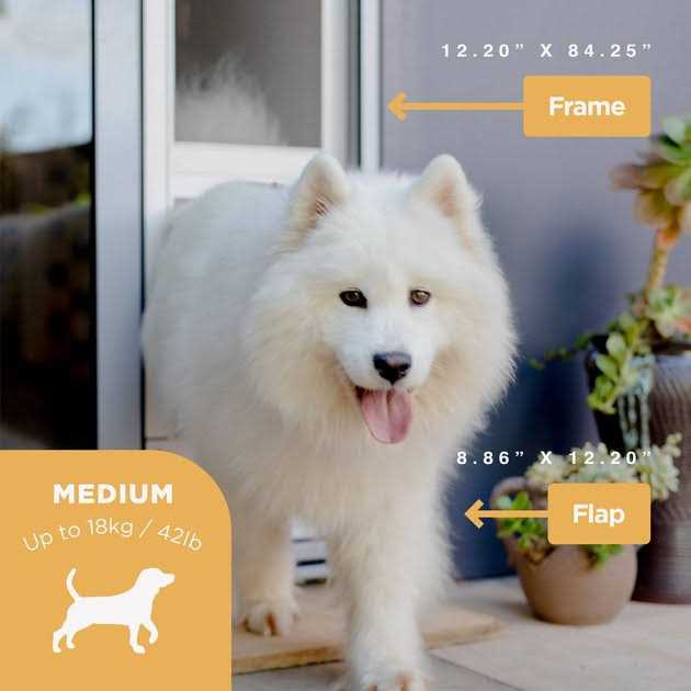 Hakuna Pets Small Silver Patio Pet Door