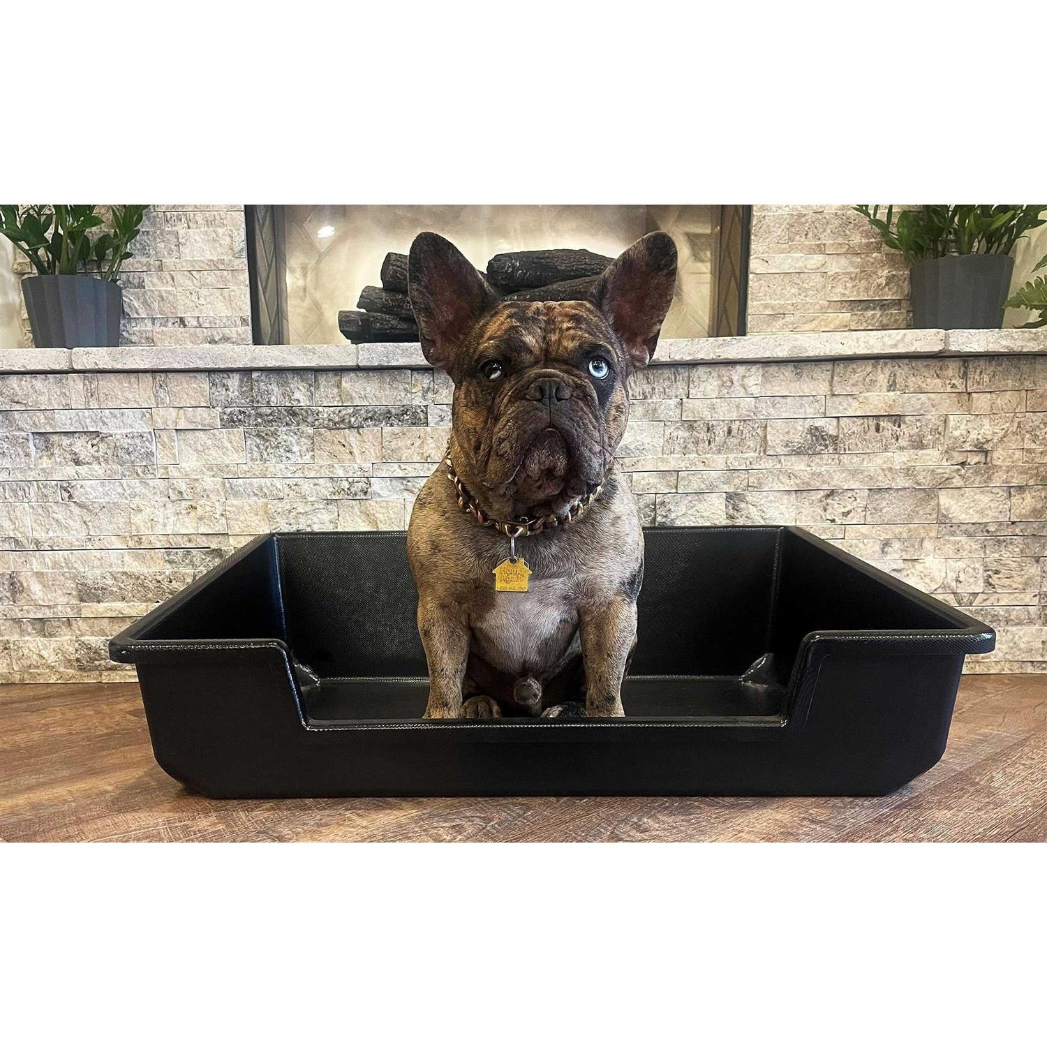 Piggy Poo and Crew Extra Large Litter Box