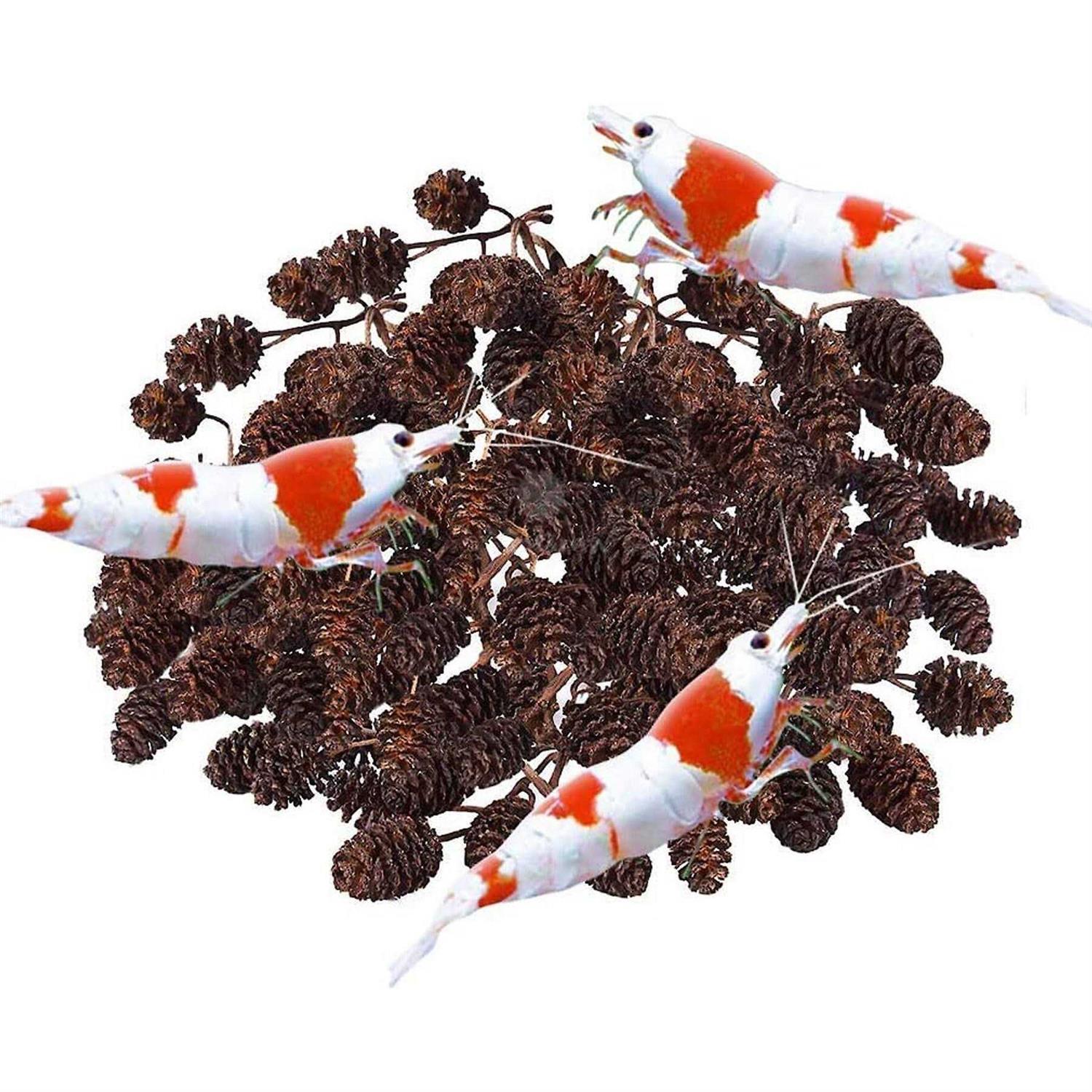 SunGrow Shrimp Breeding Aquarium Tank Water Conditioner & Food Alder Cones