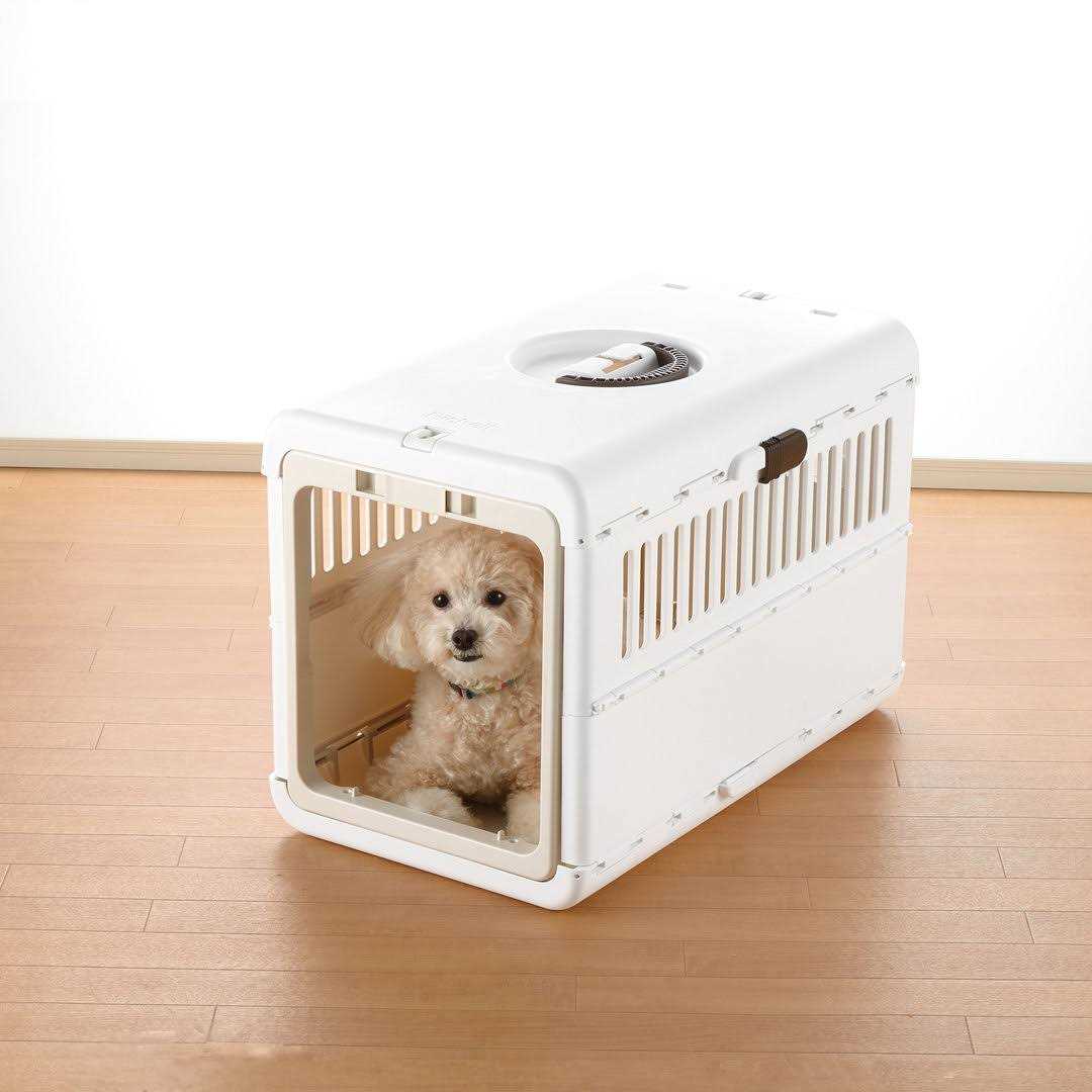 Richell Foldable Pet Carrier