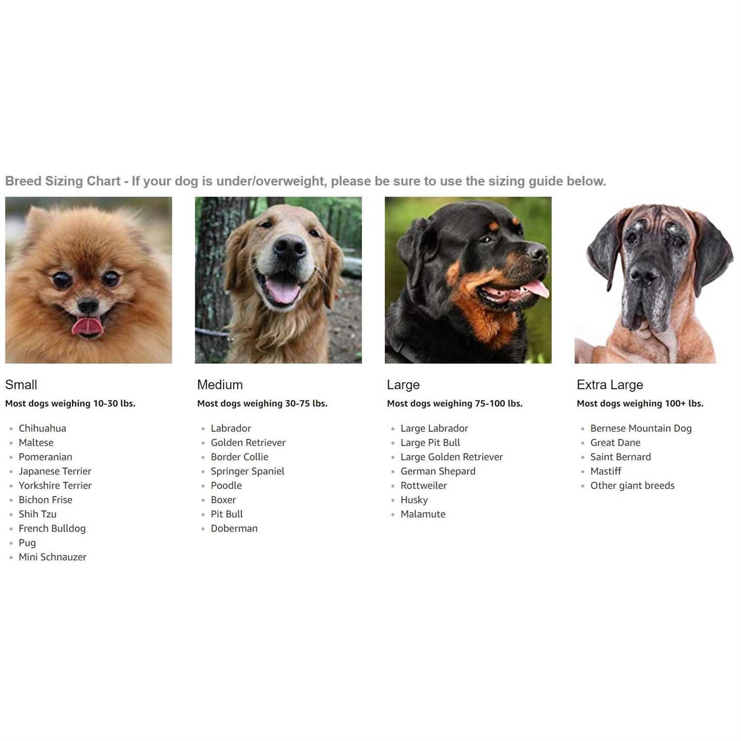 Labra Dog Extra Supportive Canine Rear Leg Hock Joint Compression Wrap and and