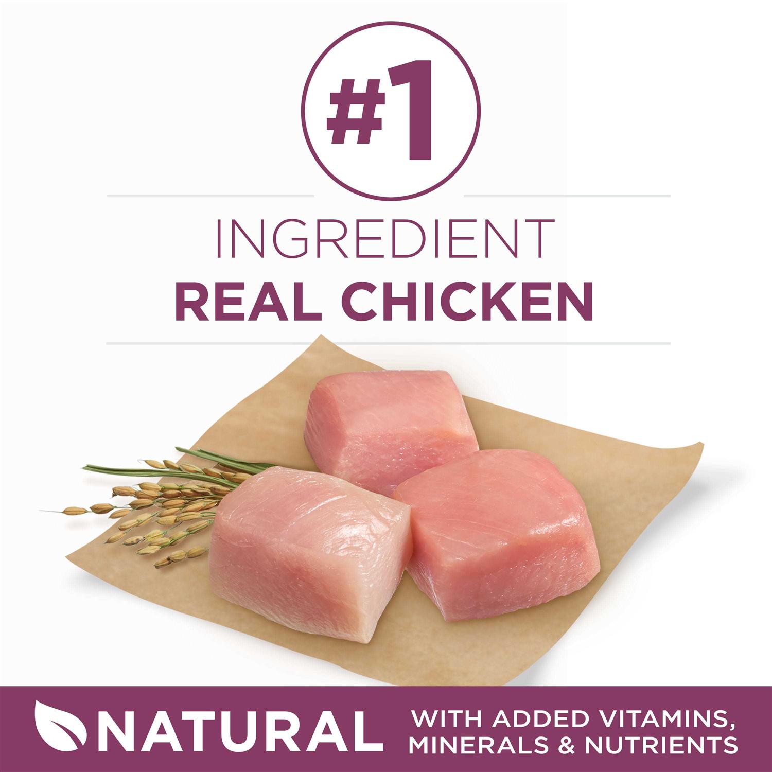 Purina ONE Healthy Puppy Formula Dry Food