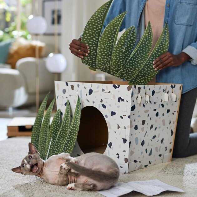 Frisco Potted Succulent Cardboard Cat House