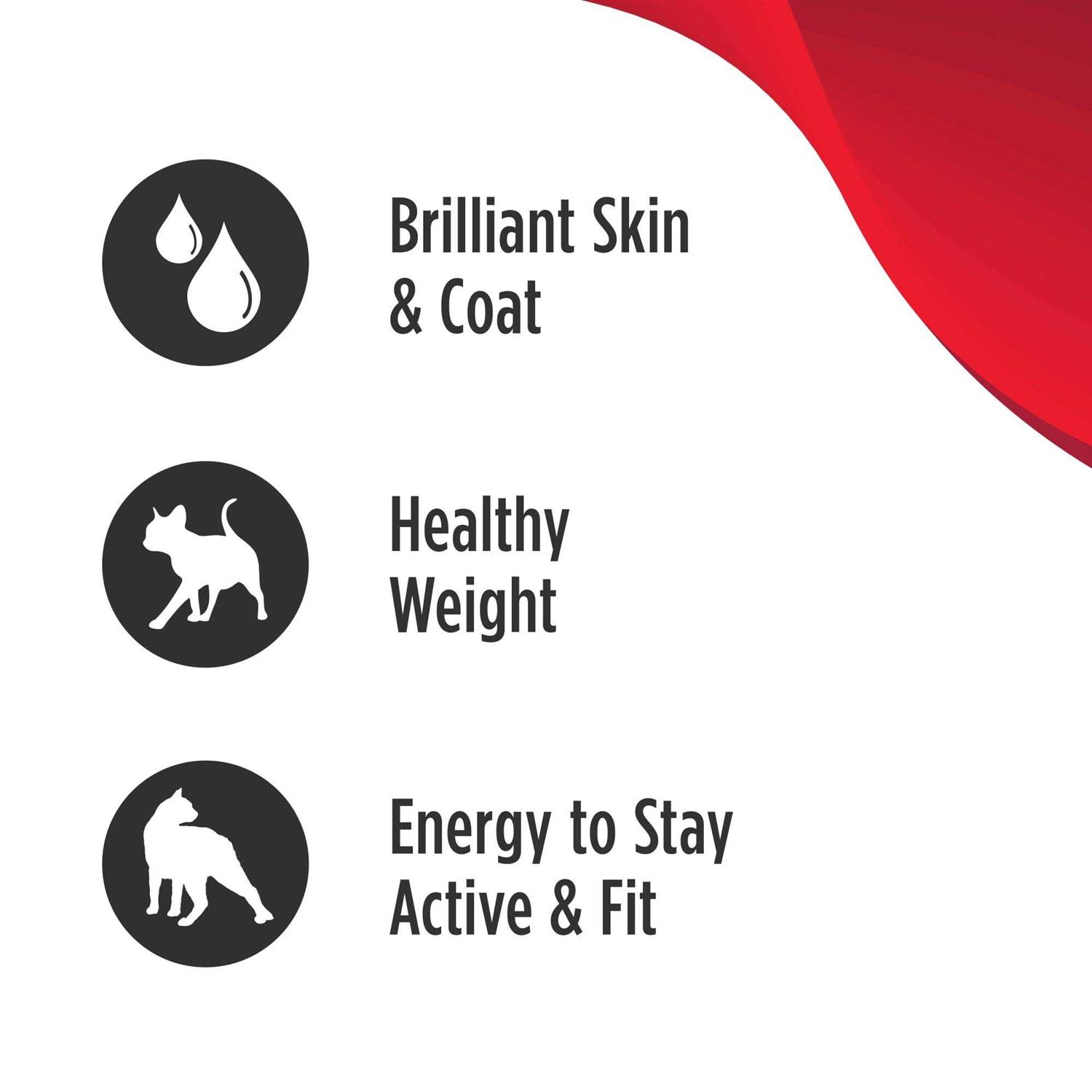 Nulo MedalSeries Grain-Free Salmon & Sweet Potato Adult Weight Management Dry Cat Food