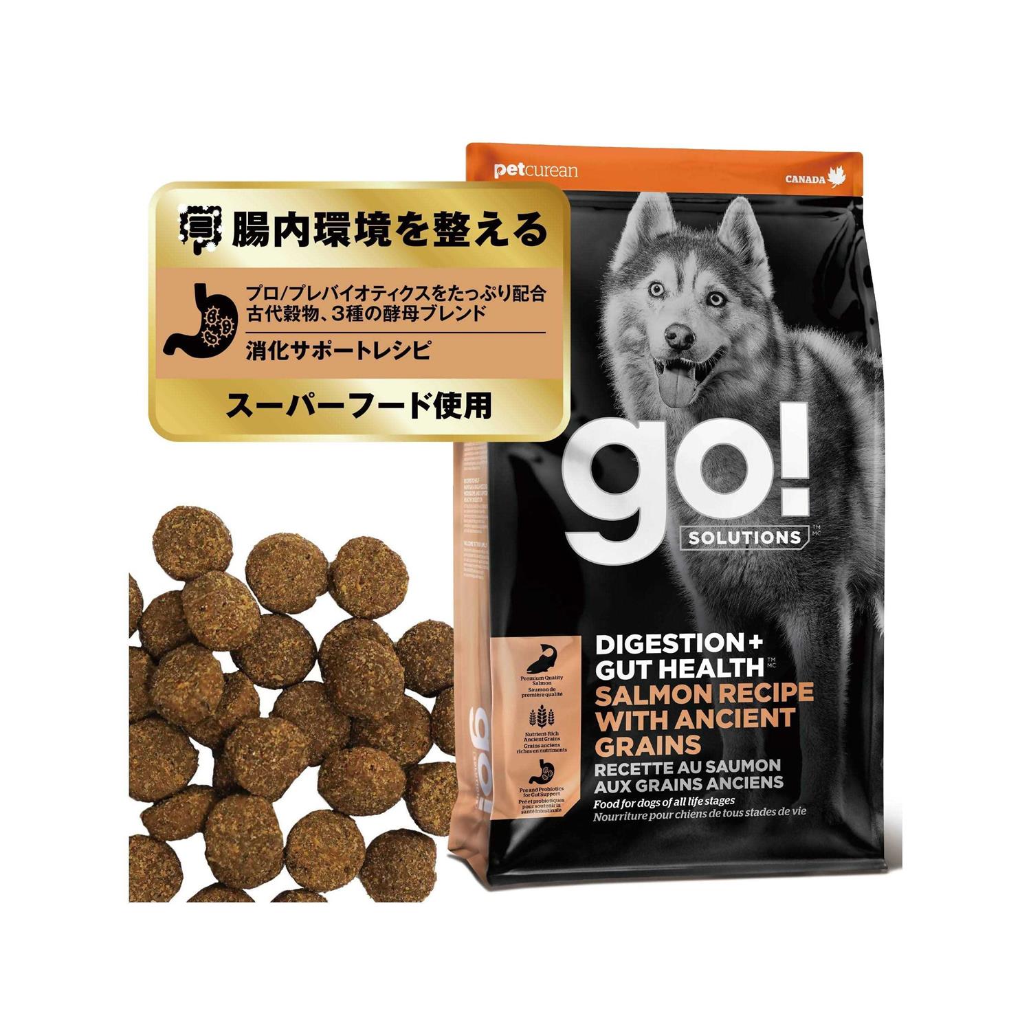Go! Solutions Digestion Gut Health Salmon Recipe with Ancient Grains for Dogs